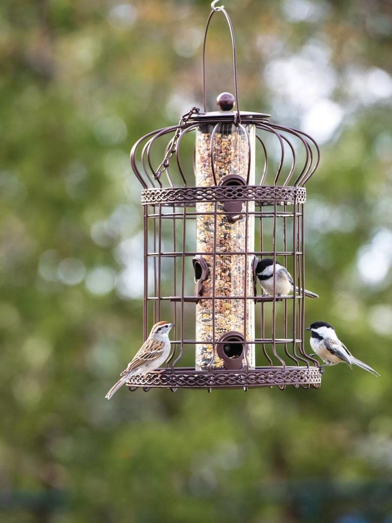 Bird Feeder Haven