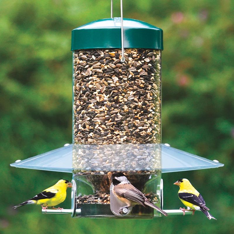 Bird Feeders