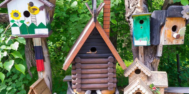 Bird-Friendly Space