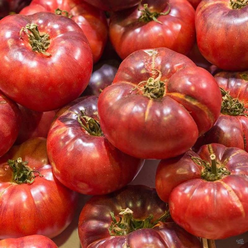 Black Krim Tomato