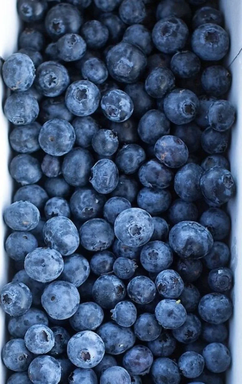 Blueberries