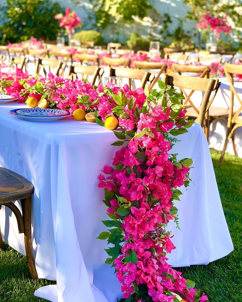 Bougainvillea