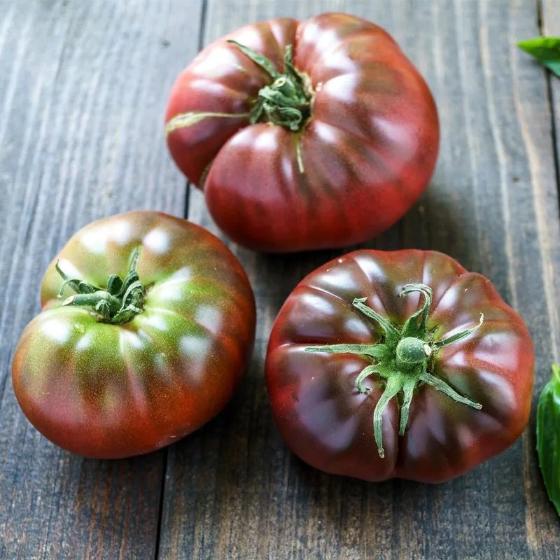 Brandywine Tomato