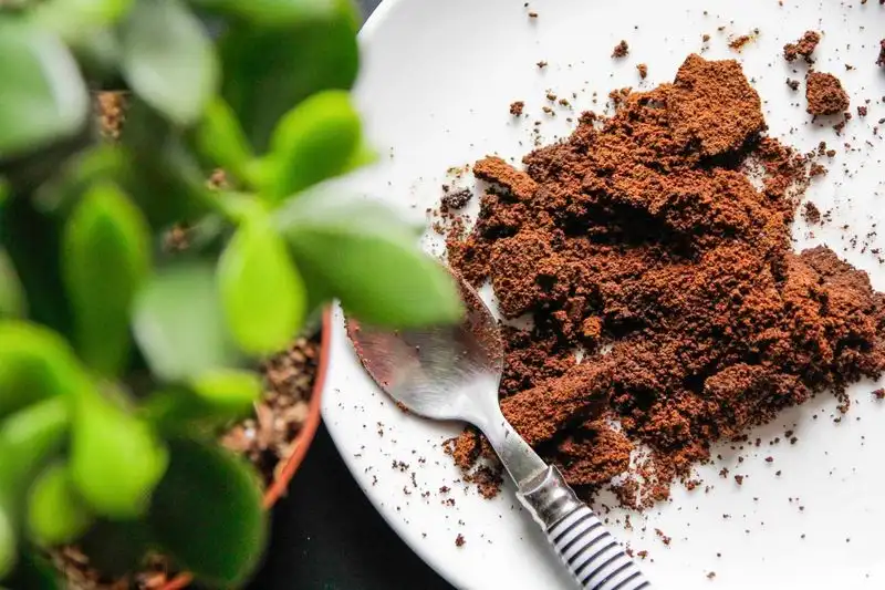 Brewing Coffee Grounds