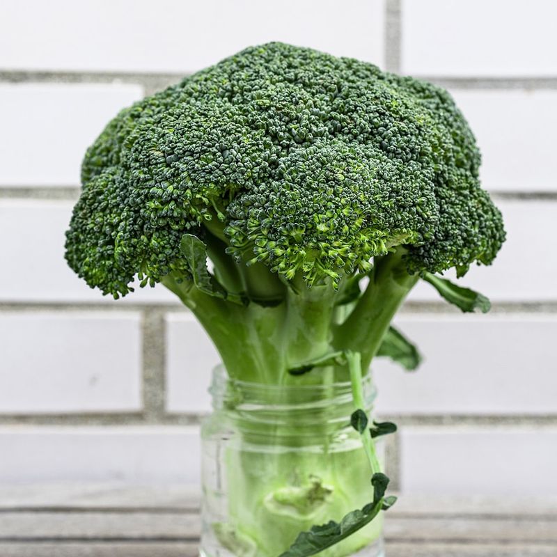 Broccoli