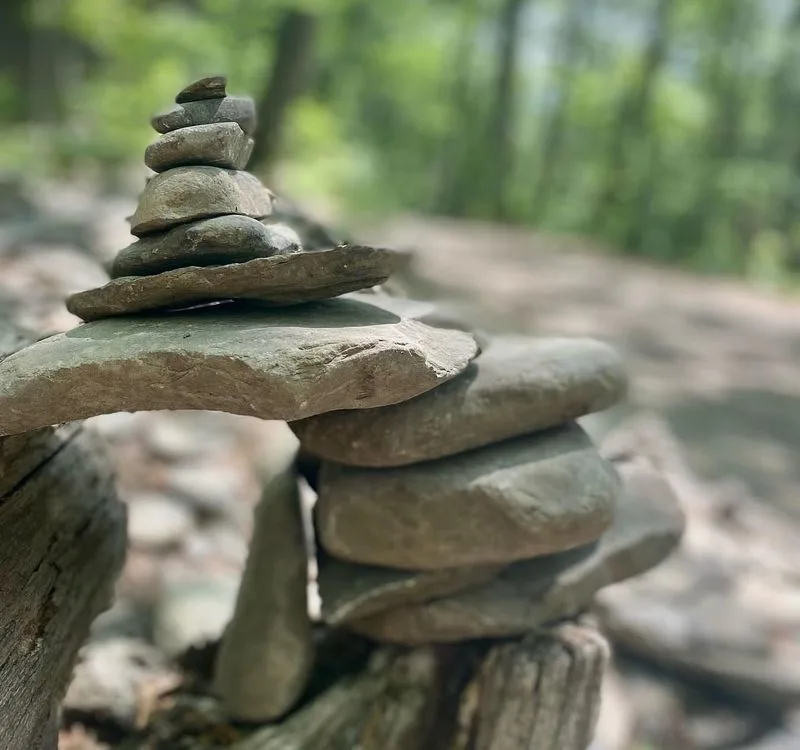 Build Rock Piles