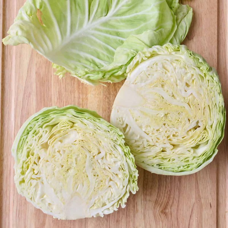 Cabbage and Dill
