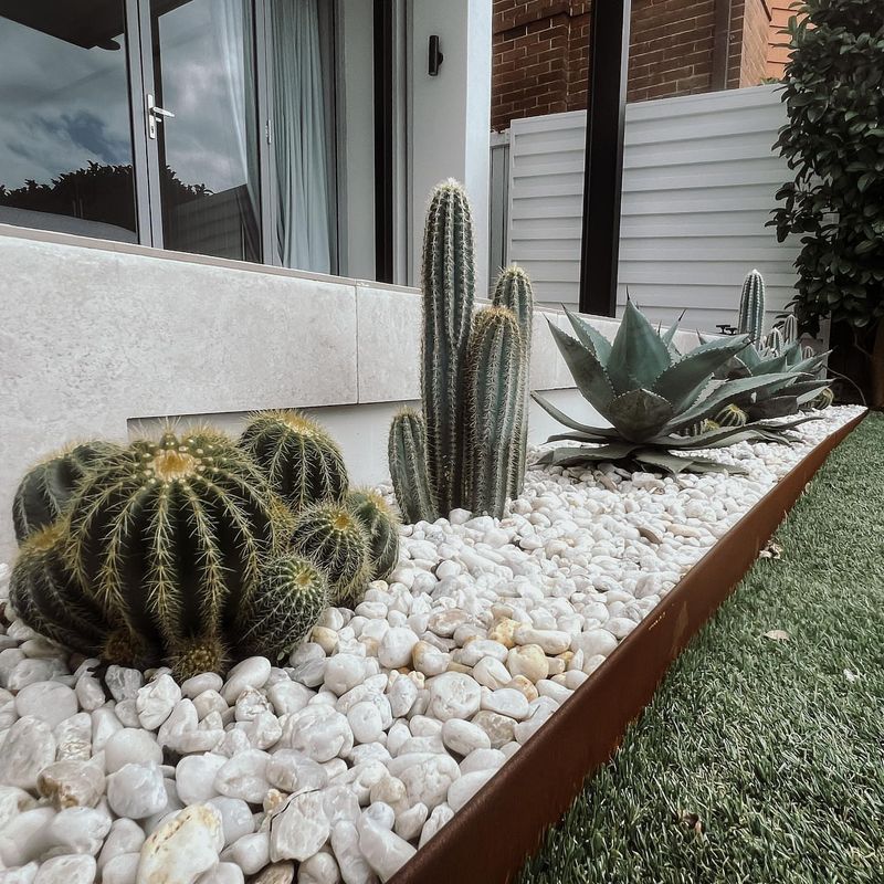 Cactus Gardens
