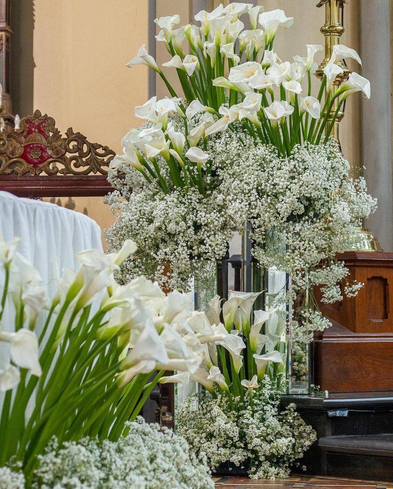 Calla Lily