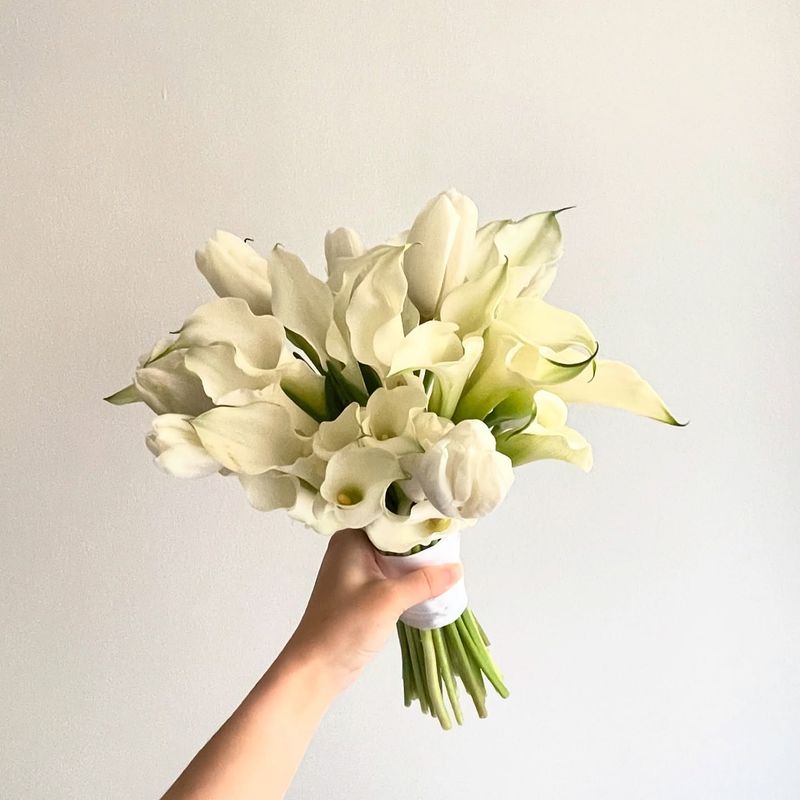 Calla Lily
