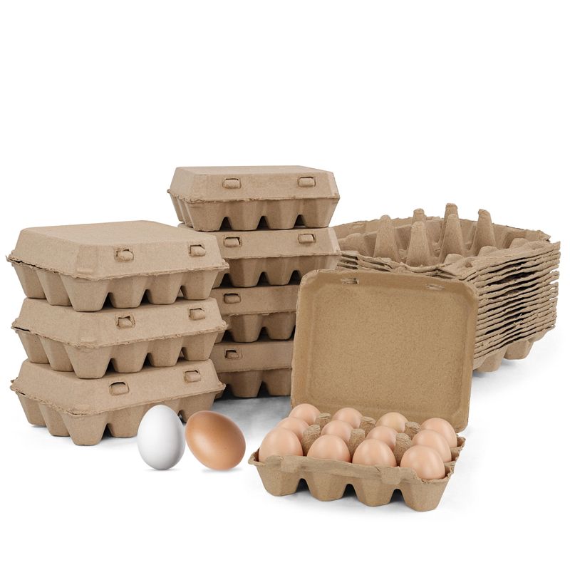 Cardboard Egg Cartons