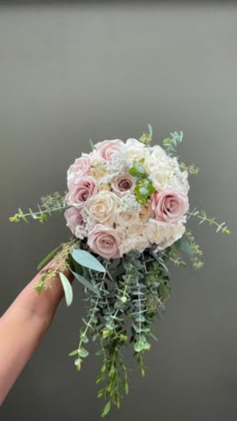 Carnations