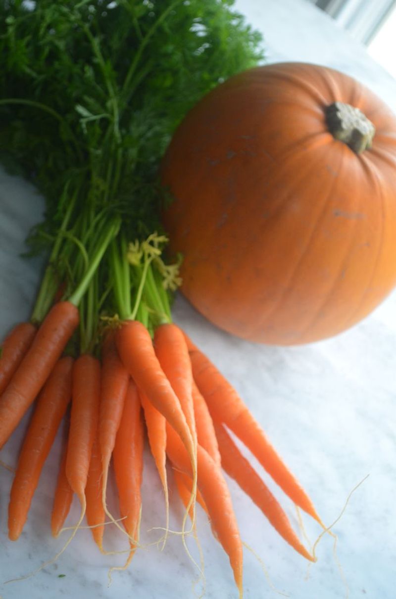 Carrot