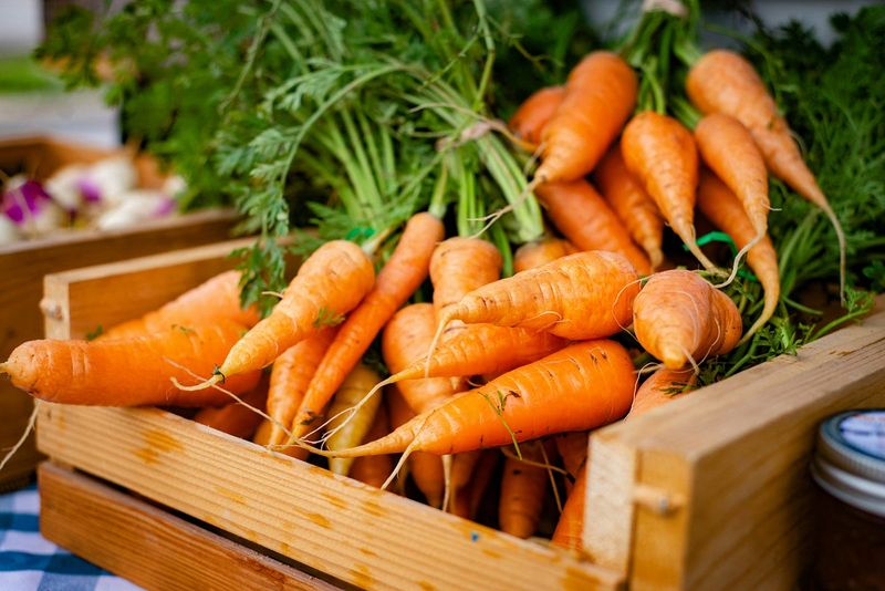 Carrot