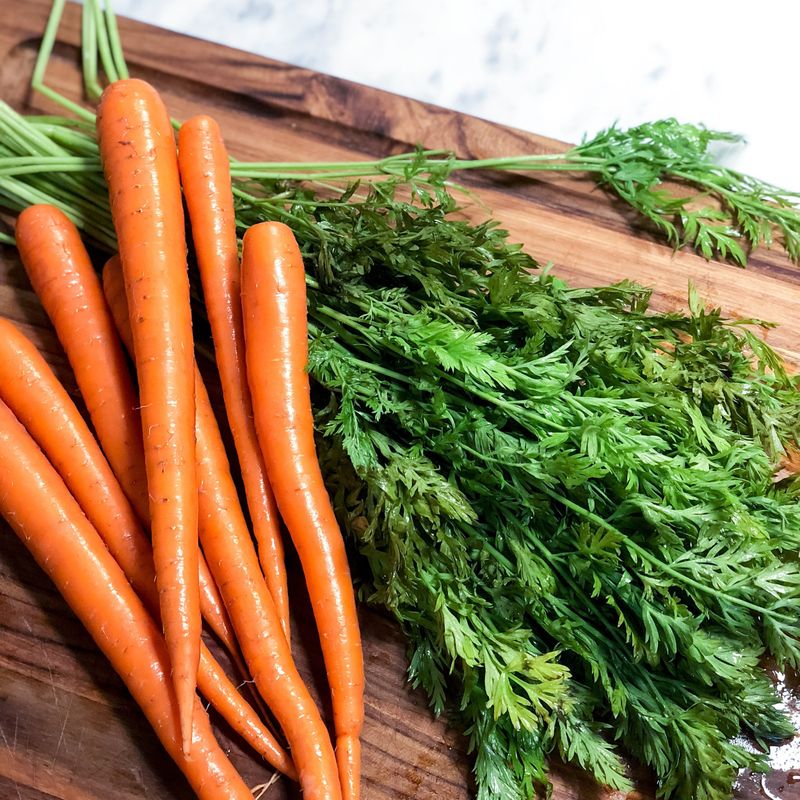 Carrot Tops