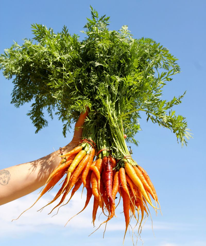 Carrots