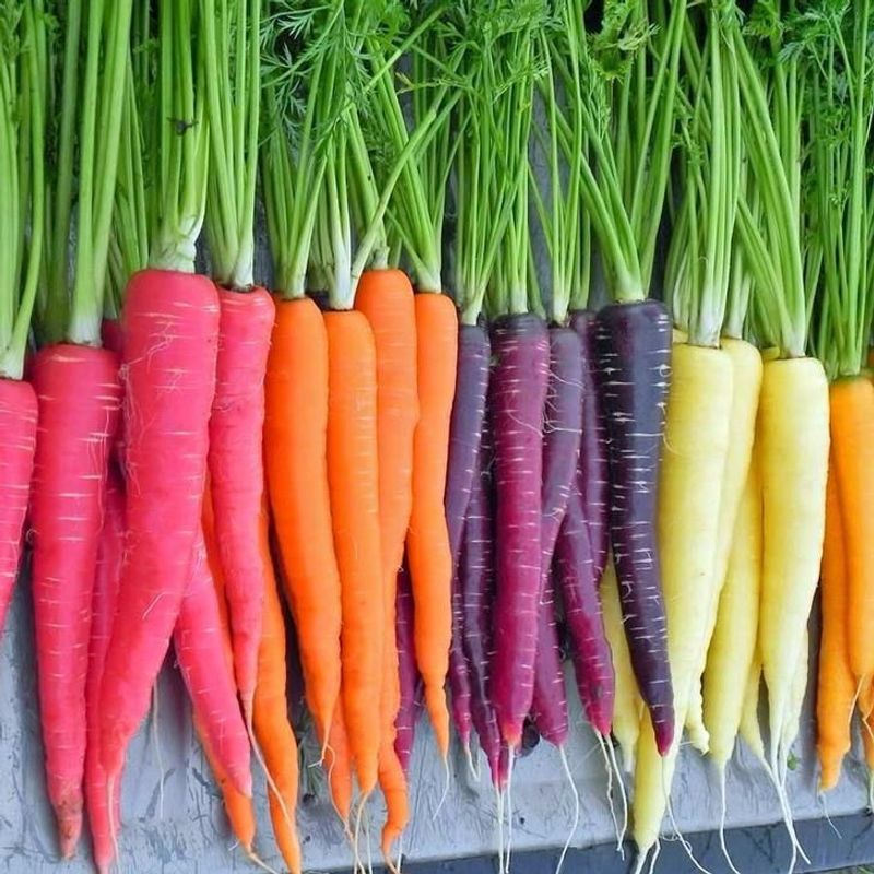 Carrots