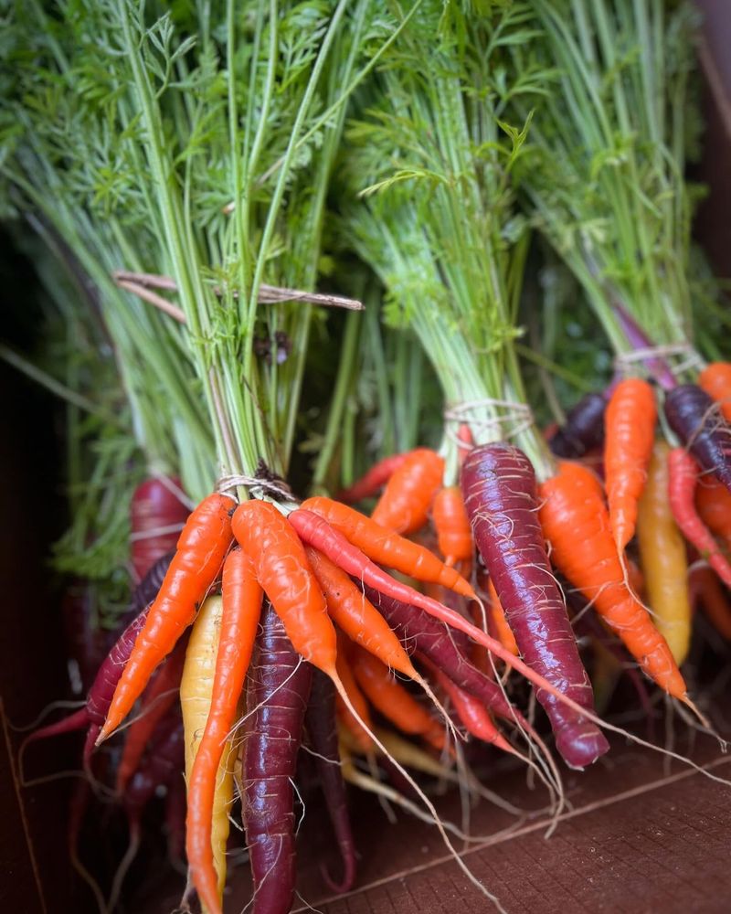 Carrots