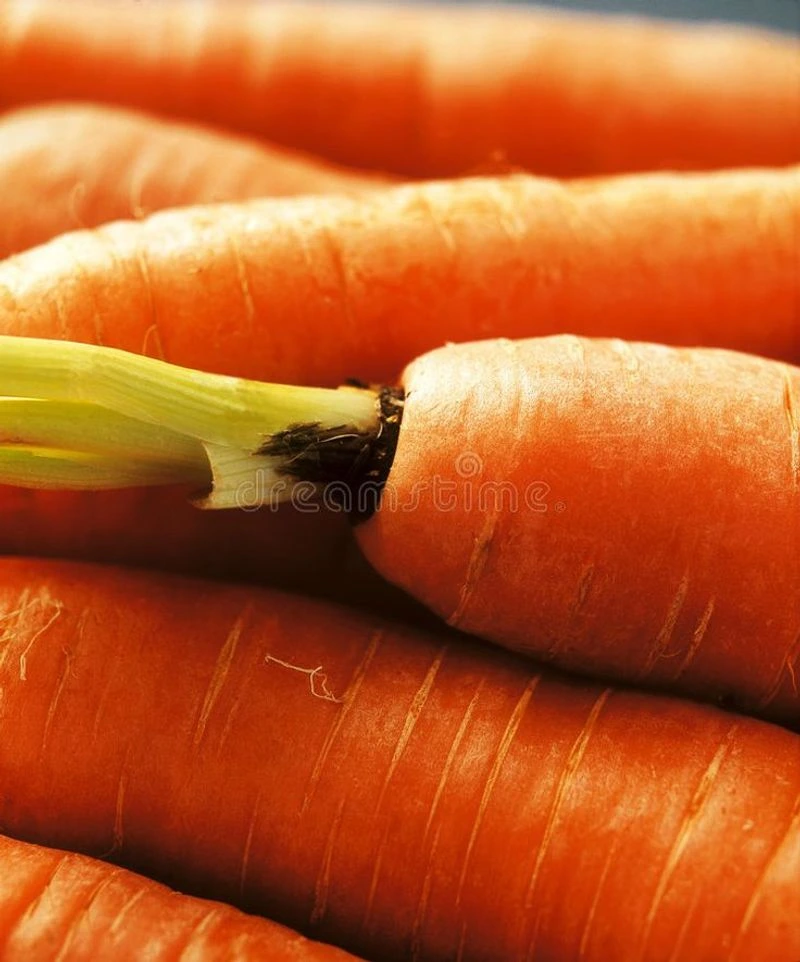Carrots
