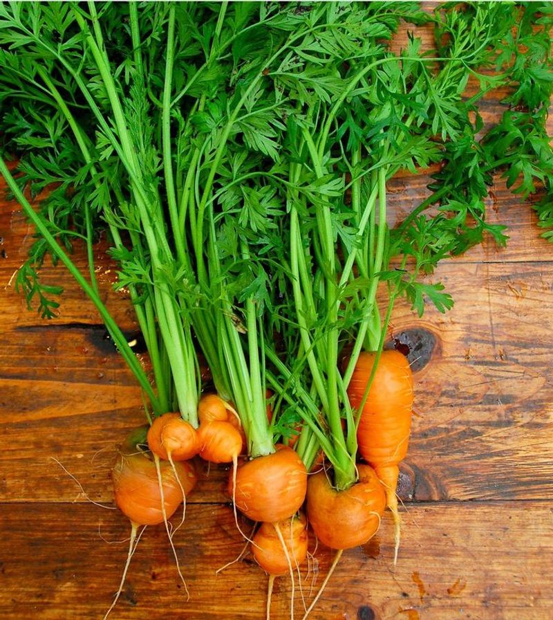 Carrots