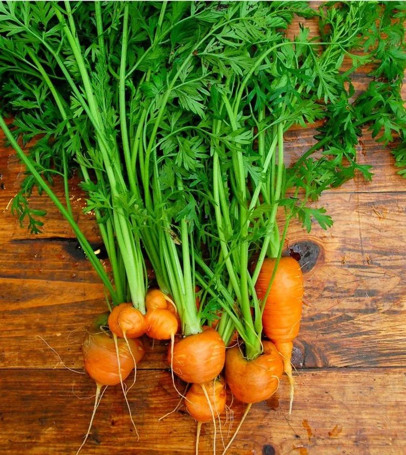 Carrots