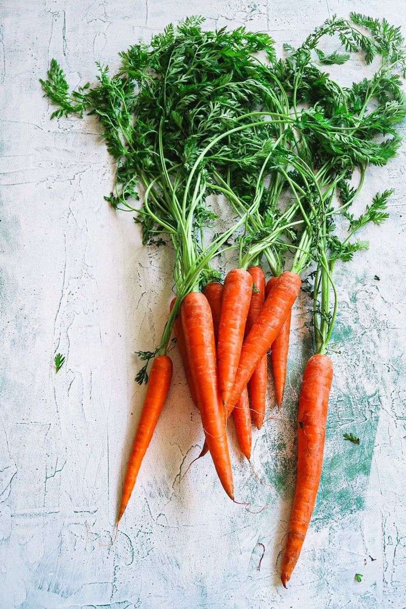 Carrots & Dill