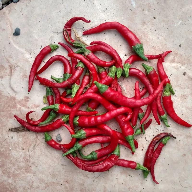 Cayenne Pepper