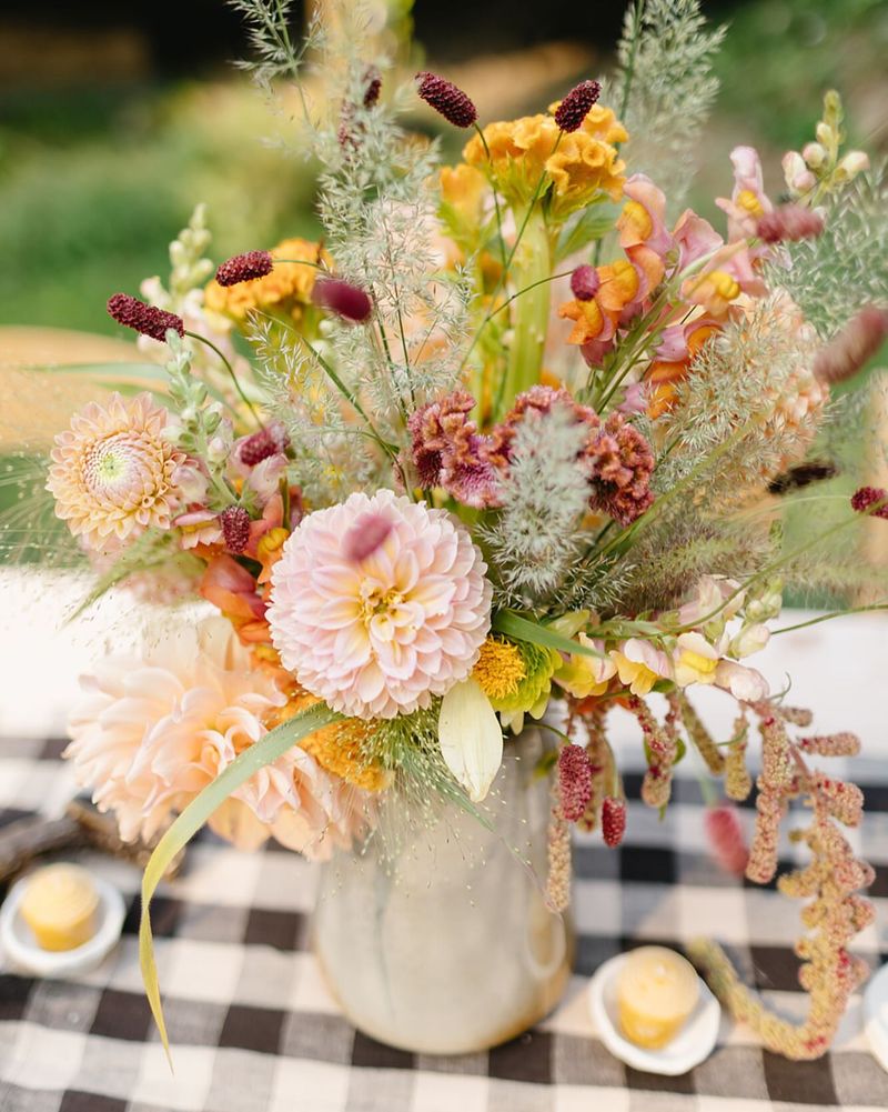 Celosia