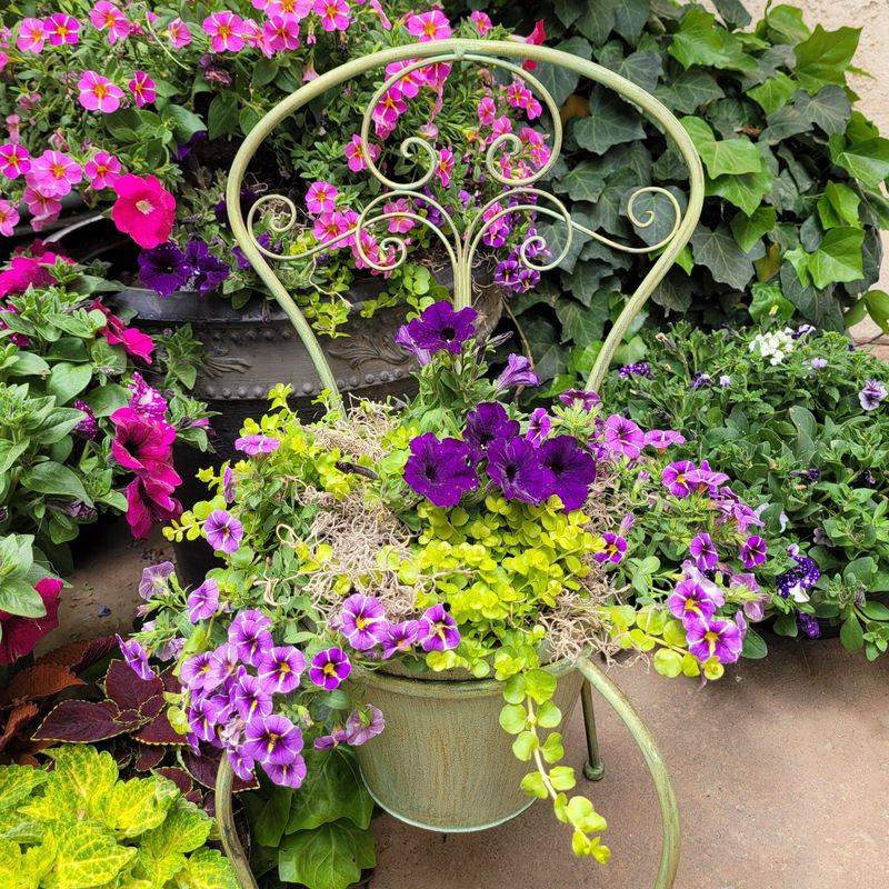 Chair Planter