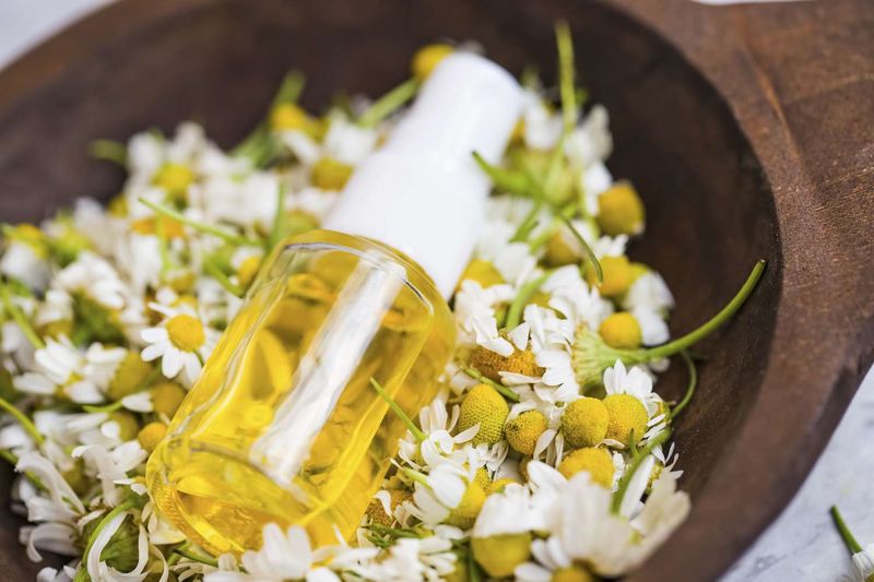 Chamomile