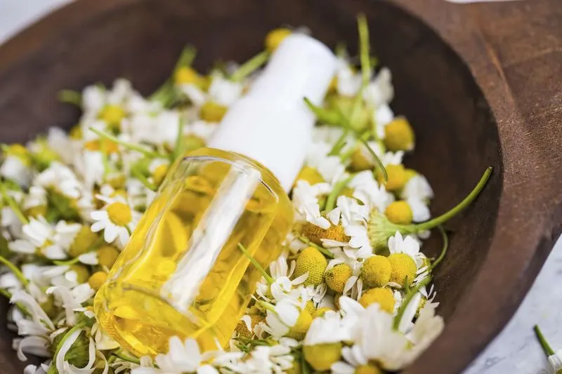 Chamomile