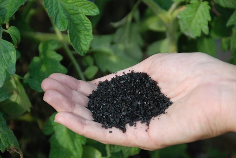 Charcoal for Soil Conditioning