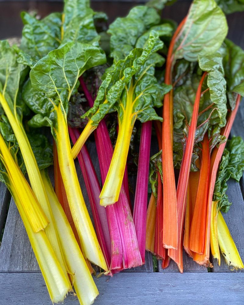 Chard