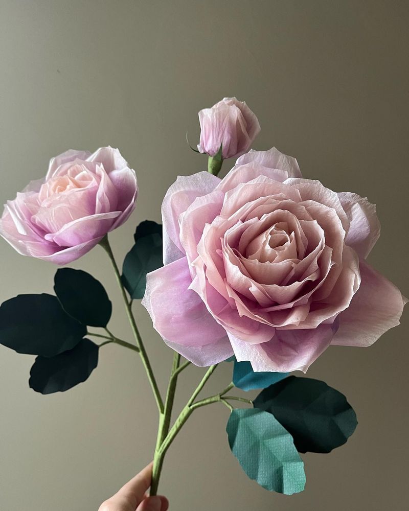 Charles de Gaulle Rose