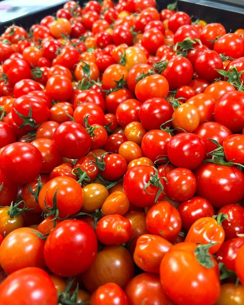 Cherry Tomatoes