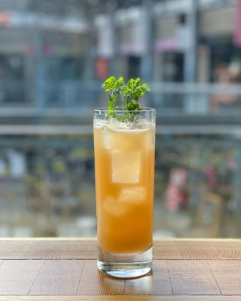 Chervil