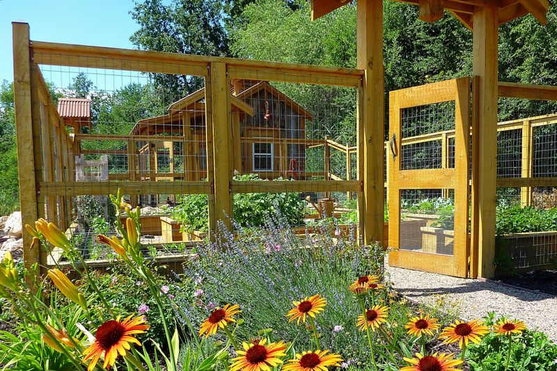 Chicken Coop