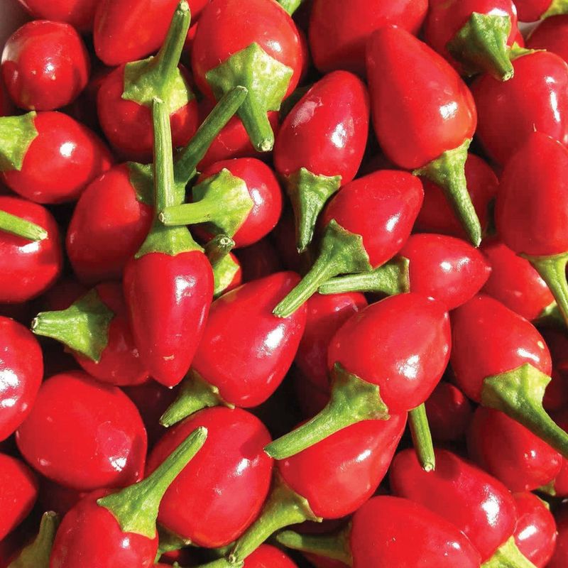 Chiltepin Peppers