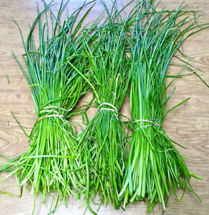 Chives