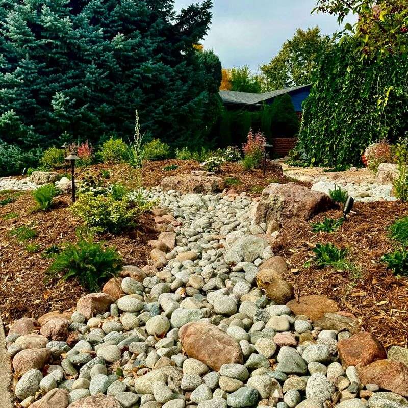 Overcrowding Rocks Around Plants