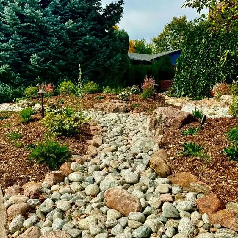 Overcrowding Rocks Around Plants