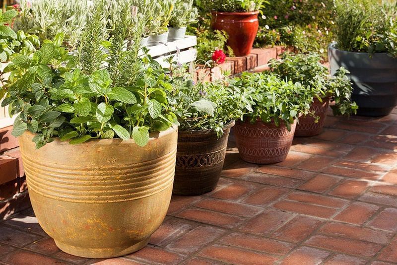 Choosing the Right Containers