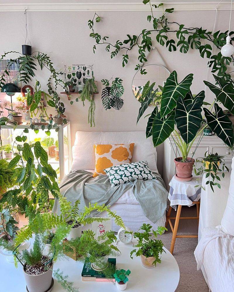 Choosing the Wrong Plant for Your Space