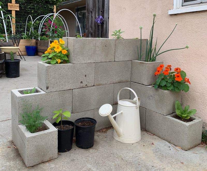 Cinder Block Planter