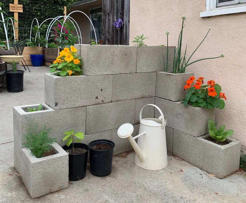 Cinder Block Planter