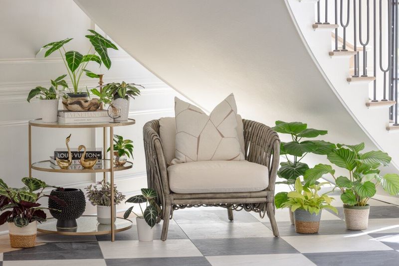Classic Elegance