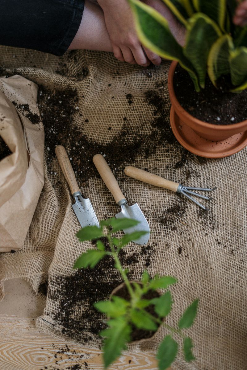Cleaning Garden Tools