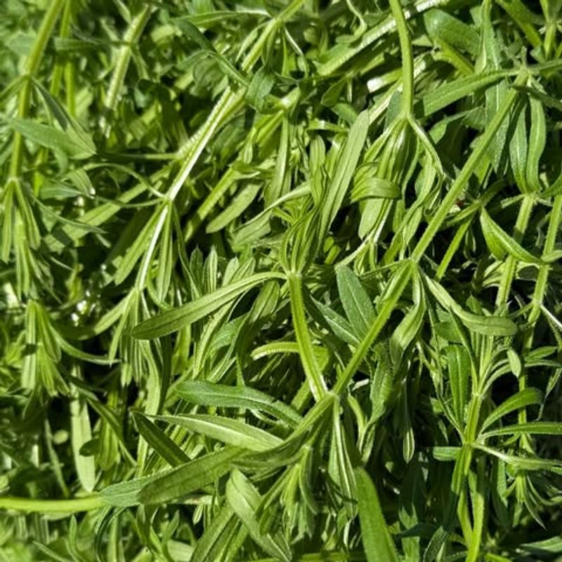 Cleavers