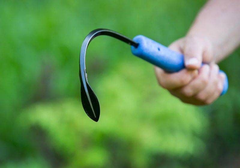 CobraHead Weeder