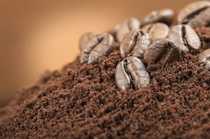 Coffee Grounds